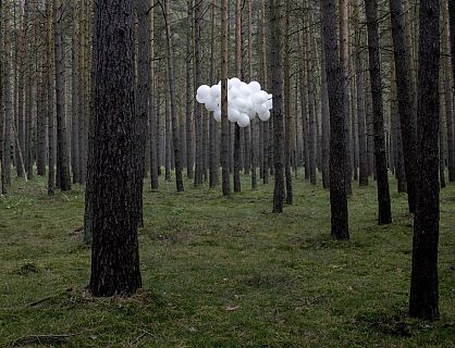 Wald II