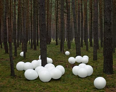 Wald II, Version 2, 2010. (Woods II, version 2)