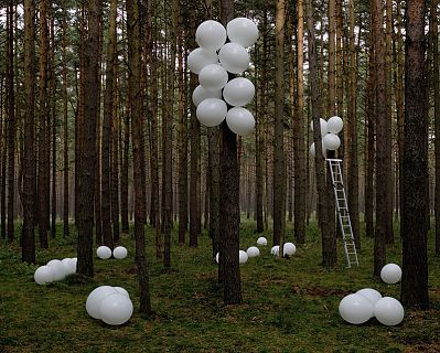 Wald II - Ernte, 2010. (Woods II - Harvest)